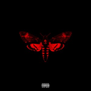 lil-wayne-human-being-ii-cover